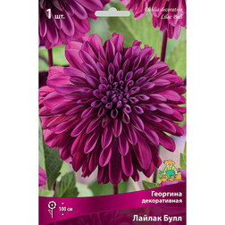 ����  �������� ������������ ������ ���� (1 ��.), ������ �� 462 ���