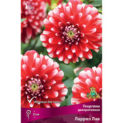 ����  �������� ������������ ������ ��� (1 ��.), ������ �� 433 ���