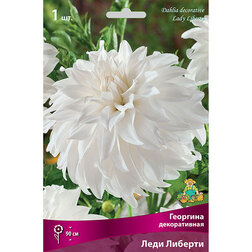 ����  �������� ������������ ���� ������� (1 ��.), ������ �� 462 ���