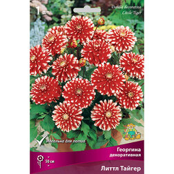 ����  �������� ������������ ����� ������ (1 ��.), ������ �� 467 ���