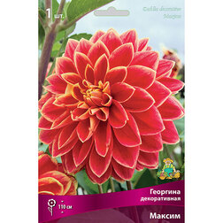 ����  �������� ������������ ������ (1 ��.), ������ �� 462 ���