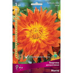 ����  �������� ������������ ����� (1 ��.), ������ �� 462 ���