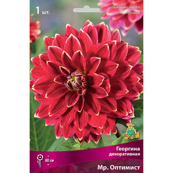 ����  �������� ������������ ��. �������� (1 ��.), ������ �� 433 ���