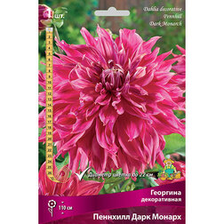 ����  �������� ������������ �������� ���� ������ (1 ��.), ������ �� 467 ���