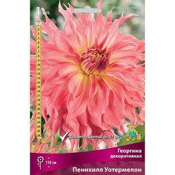 ����  �������� ������������ �������� ���������� (1 ��.), ������ �� 467 ���