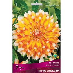 ����  �������� ������������ ����� ��� ���� (1 ��.), ������ �� 467 ���