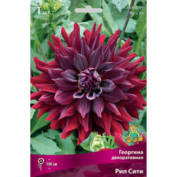 ����  �������� ������������ ��� ���� (1 ��.), ������ �� 462 ���