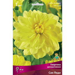 ����  �������� ������������ ��� ���� (1 ��.), ������ �� 462 ���