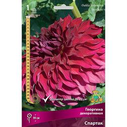 ����  �������� ������������ ������� (1 ��.), ������ �� 484 ���