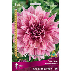 ����  �������� ������������ ������� ����� ��� (1 ��.), ������ �� 583 ���