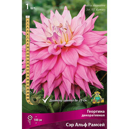 ����  �������� ������������ ��� ���� ������ (1 ��.), ������ �� 462 ���