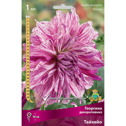 ����  �������� ������������ ������� (1 ��.), ������ �� 484 ���