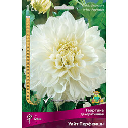 ����  �������� ������������ ���� �������� (1 ��.), ������ �� 433 ���