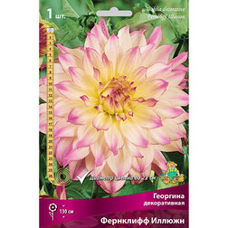 ����  �������� ������������ ��������� ������ (1 ��.), ������ �� 462 ���