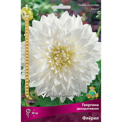 ����  �������� ������������ ����� (1 ��.), ������ �� 445 ���