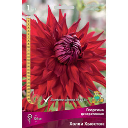 ����  �������� ������������ ����� ������� (1 ��.), ������ �� 467 ���