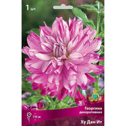 ����  �������� ������������ �� ��� �� (1 ��.), ������ �� 445 ���