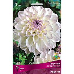 ����  �������� ������������ ������ (1 ��.), ������ �� 445 ���