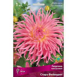 ����  �������� ���������� ����� �������� (1 ��.), ������ �� 421 ���