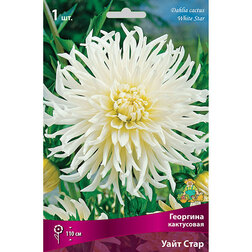 ����  �������� ���������� ���� ���� (1 ��.), ������ �� 421 ���