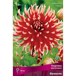 ����  �������� ���������� ������� (1 ��.), ������ �� 433 ���