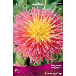 ����  �������� ���������� ������� ���� (1 ��.), ������ �� 462 ���