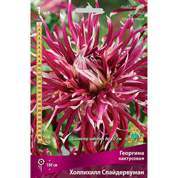 ����  �������� ���������� ��������� ������������ (1 ��.), ������ �� 462 ���