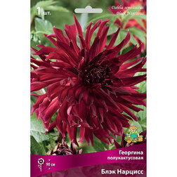 ����  �������� �������������� ���� ������� (1 ��.), ������ �� 462 ���