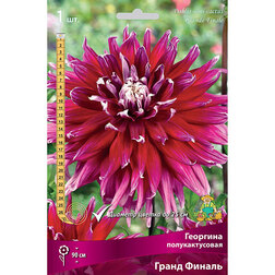 ����  �������� �������������� ����� ������ (1 ��.), ������ �� 518 ���