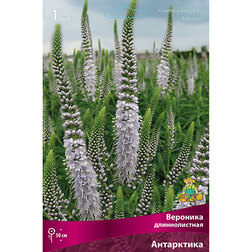 ����  �������� ������������� ����������, ������ �� 394 ���