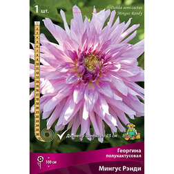 ����  �������� �������������� ������ ����� (1 ��.), ������ �� 462 ���