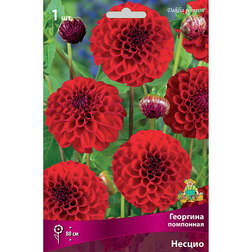 ����  �������� ��������� ������ (1 ��.), ������ �� 433 ���