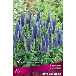 ����  �������� ���������� ����� ��� ����, ������ �� 416 ���