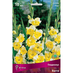 ����  ��������� ��������������� ����� (10 ��.), ������ �� 476 ���