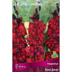 ����  ��������� ��������������� ���� ���� (10 ��.), ������ �� 476 ���