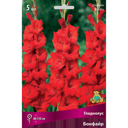 ����  ��������� ��������������� ������� (5 ��.), ������ �� 314 ���