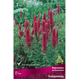 ����  �������� ���������� ���������, ������ �� 416 ���