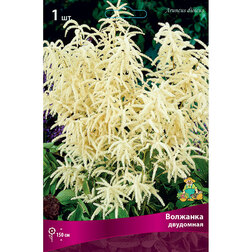 ����  �������� ���������, ������ �� 357 ���