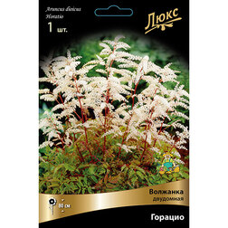 ����  �������� ��������� �������, ������ �� 632 ���