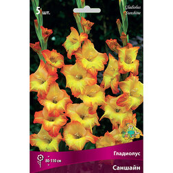 ����  ��������� ��������������� ������� (5 ��.), ������ �� 314 ���