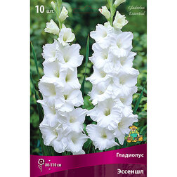 ����  ��������� ��������������� ������� (10 ��.), ������ �� 476 ���