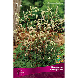 ����  �������� �����������, ������ �� 357 ���