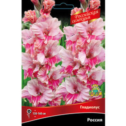 ����  ��������� ������ (5 ��.) (����� ���� �������), ������ �� 688 ���