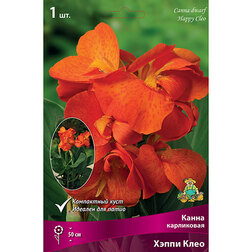 ����  ����� ���������� ����� ���� (1 ��.), ������ �� 326 ���