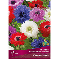 ����  ������� ���������� ���� ������� ����� ������� (10 ��.), ������ �� 314 ���