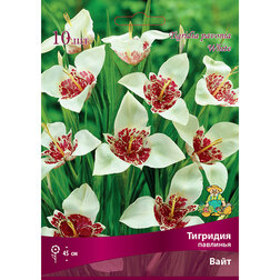 ����  �������� �������� ���� (10 ��.), ������ �� 328 ���