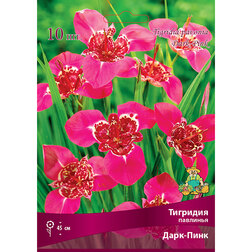 ����  �������� �������� ����-���� (10 ��.), ������ �� 328 ���