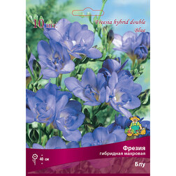 ����  ������ ��������� �������� ��� (10 ��.), ������ �� 314 ���