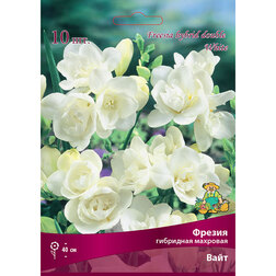 ����  ������ ��������� �������� ���� (10 ��.), ������ �� 314 ���