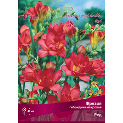 ����  ������ ��������� �������� ��� (10 ��.), ������ �� 314 ���